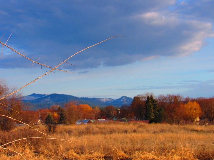 Autumn