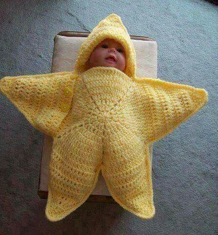 обои starfish