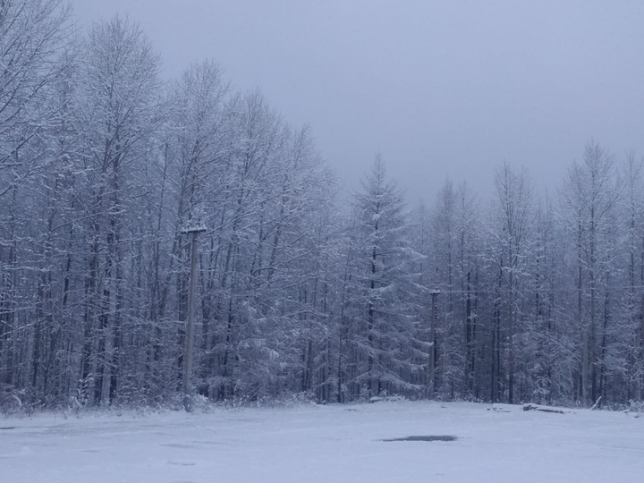 Зима