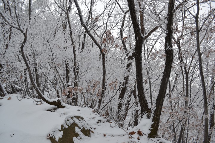 관악산의겨울이미지