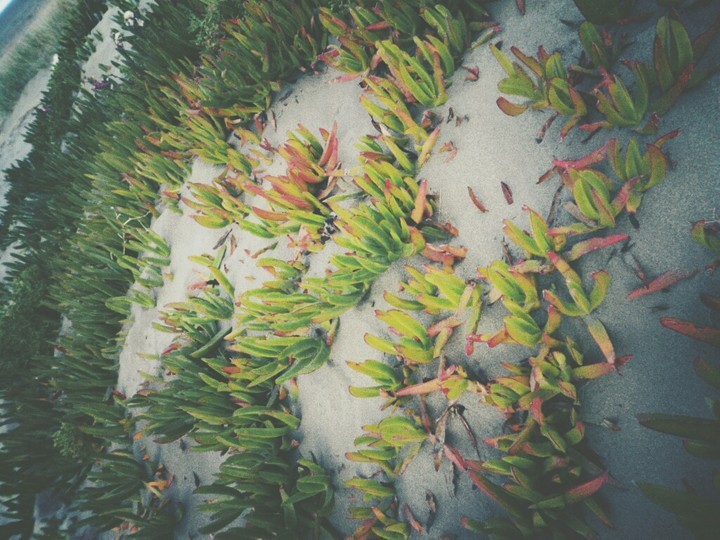 Green Sand