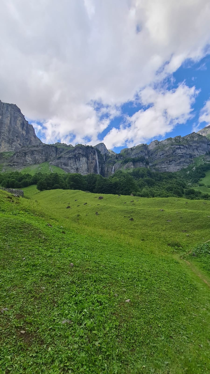 Green nature