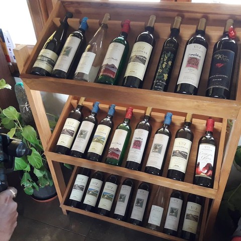 vineyard
