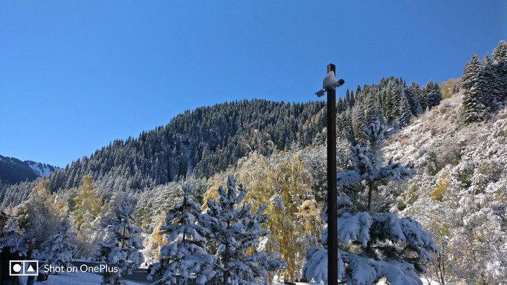 mountains 