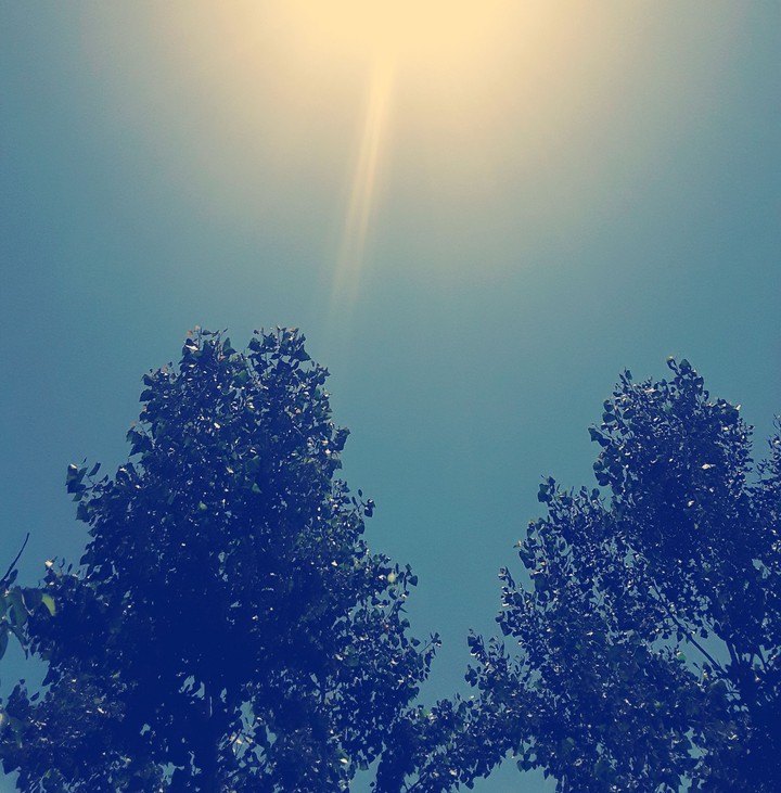 Sun , shining as WONDERFULL as always ...