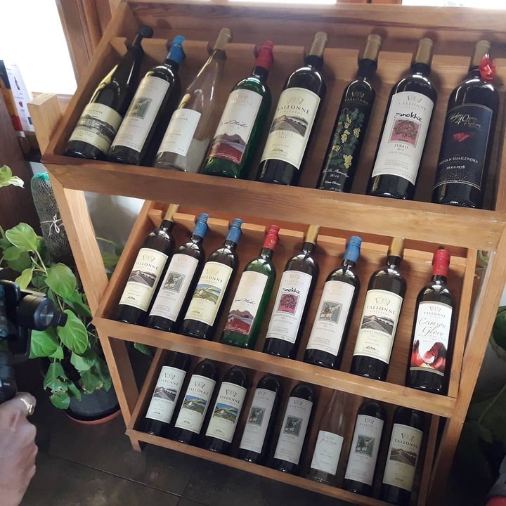 vineyard