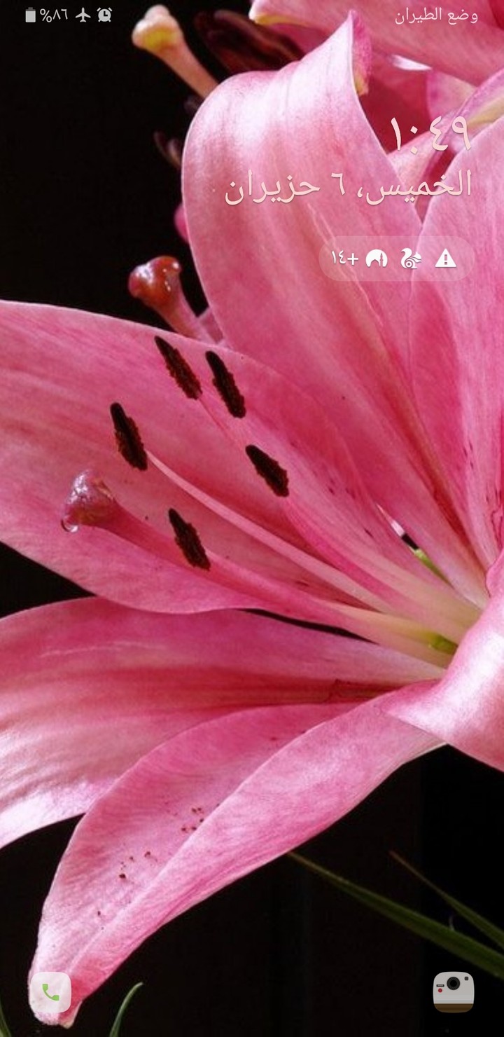 flower...گوڵ