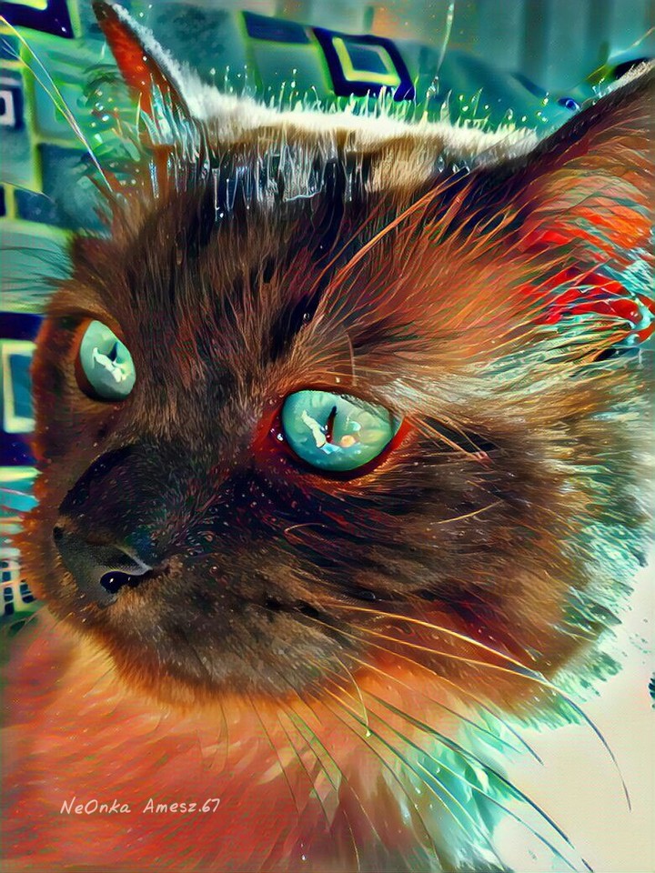котЭ