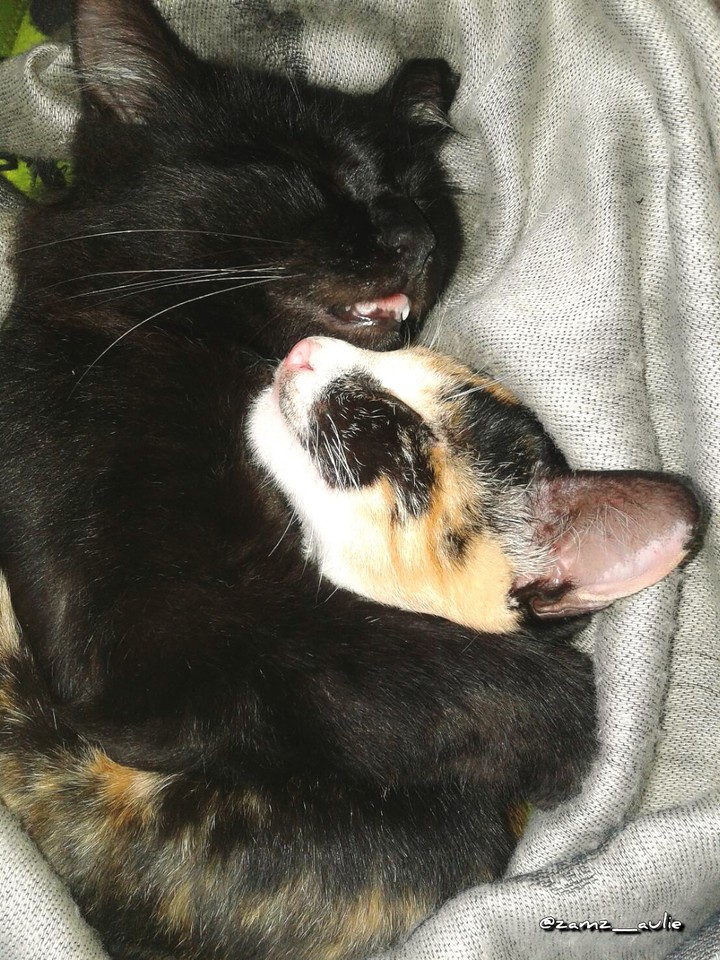 hug