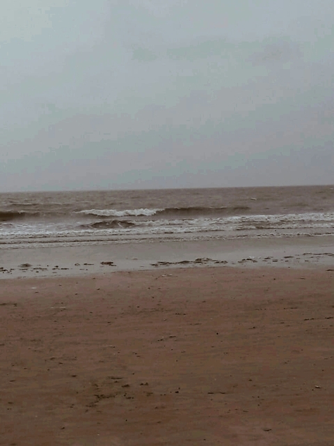 sea shore