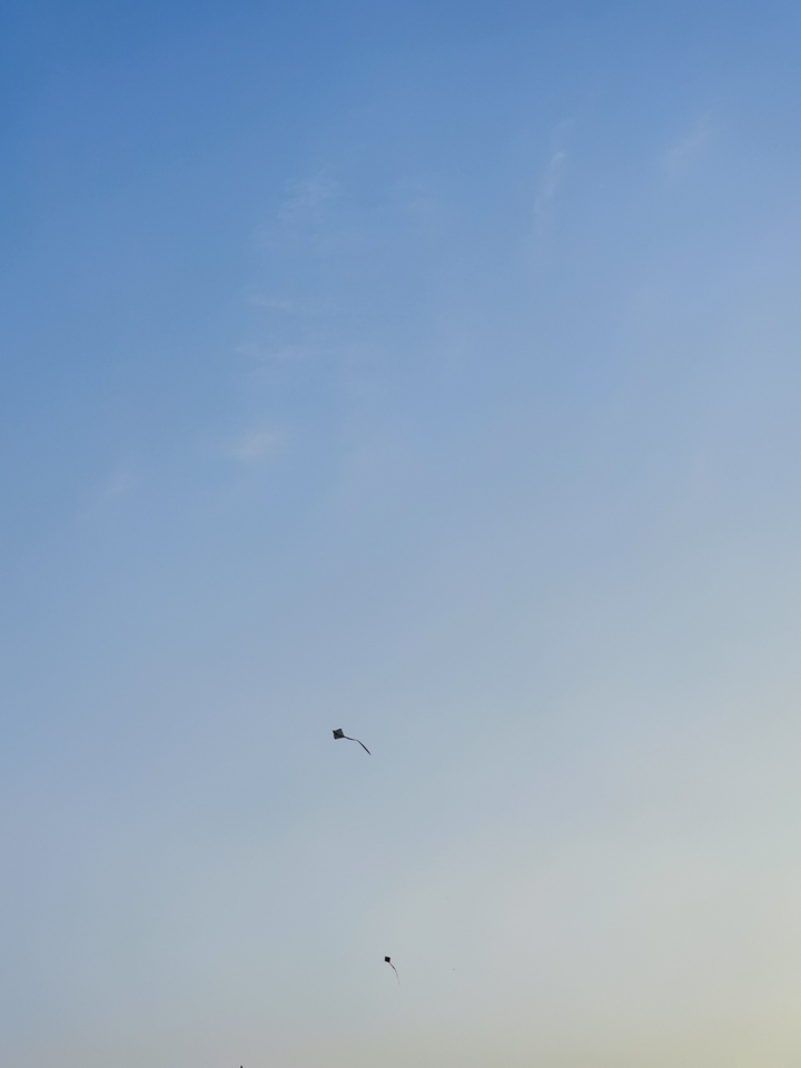 kite