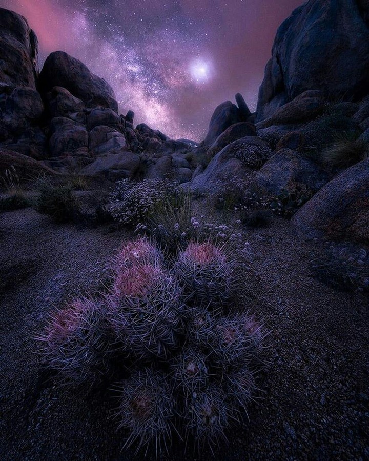 Galaxy