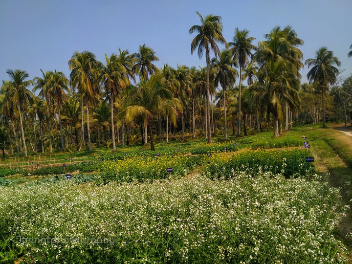 beauty by nature