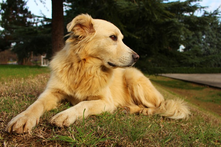Best model ever!