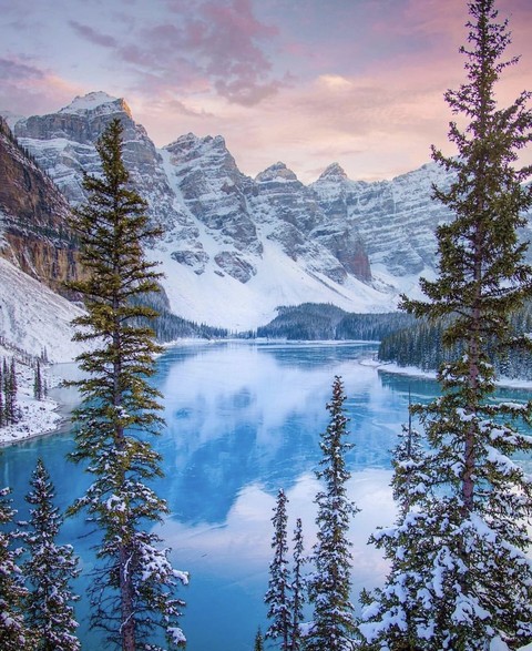 plant, mountain वॉलपेपर