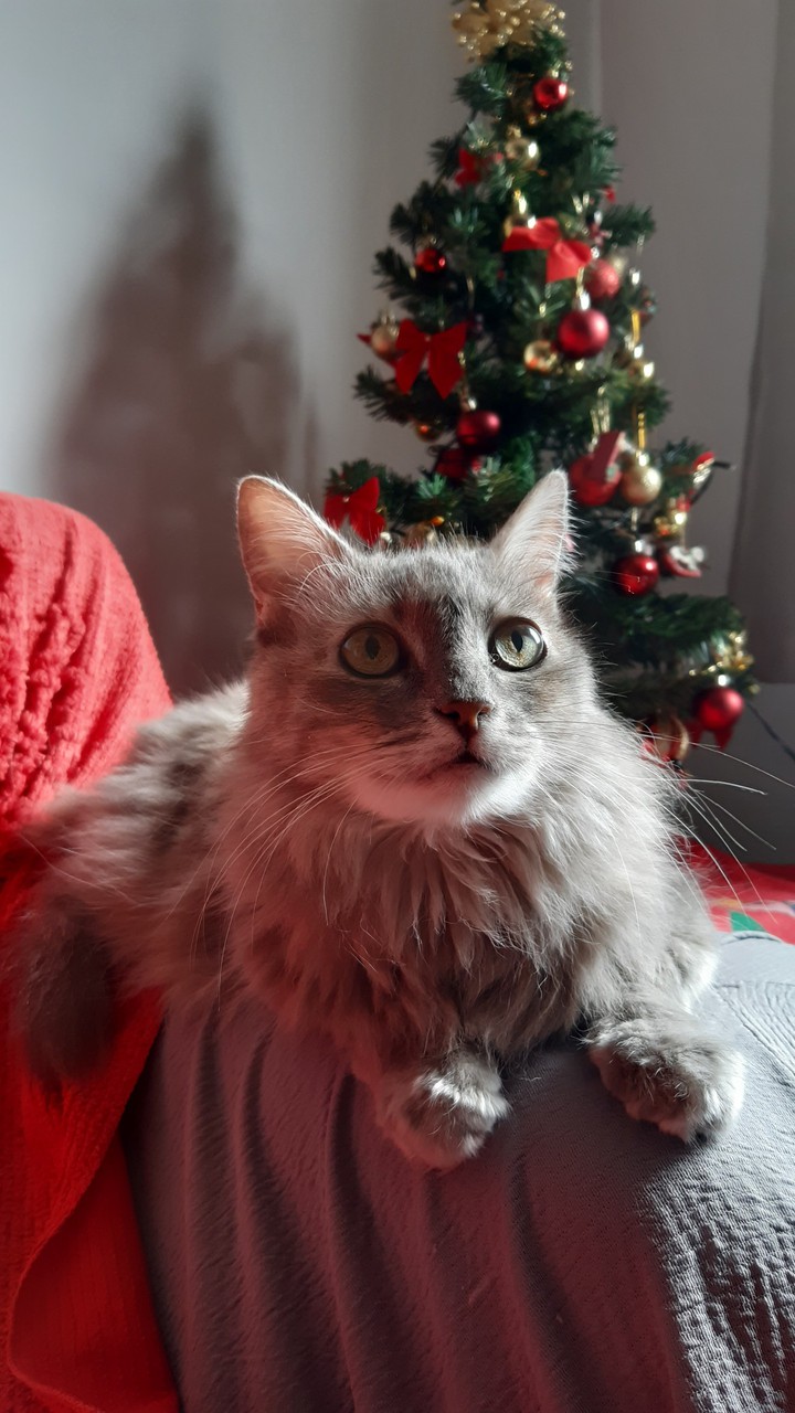 Delilah