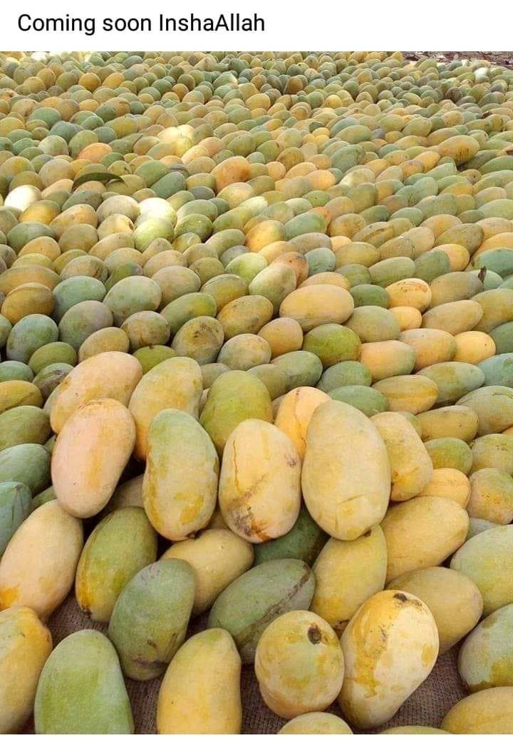 fruita