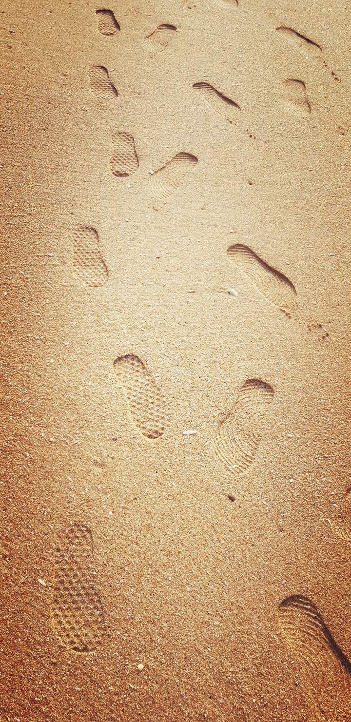 Steps in beach sand
