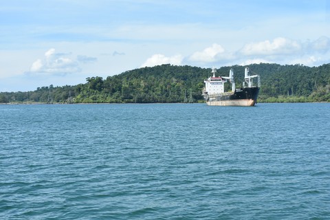 Sea