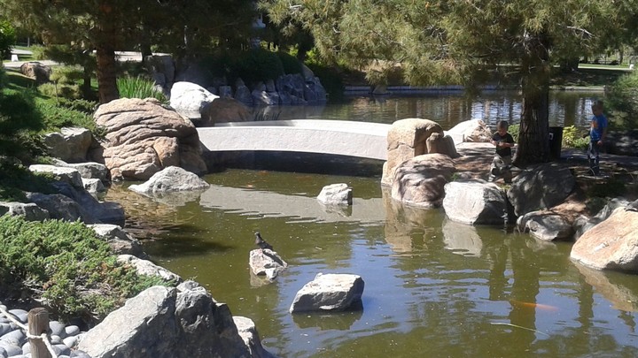 Bridge