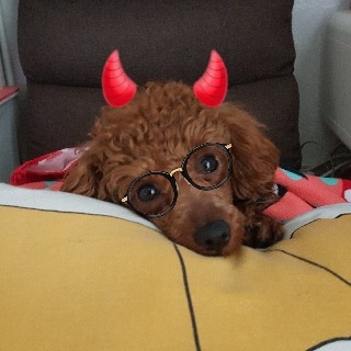 슬픈눈망웅의 나린