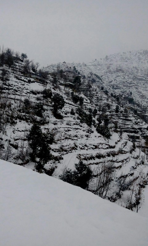 white weather