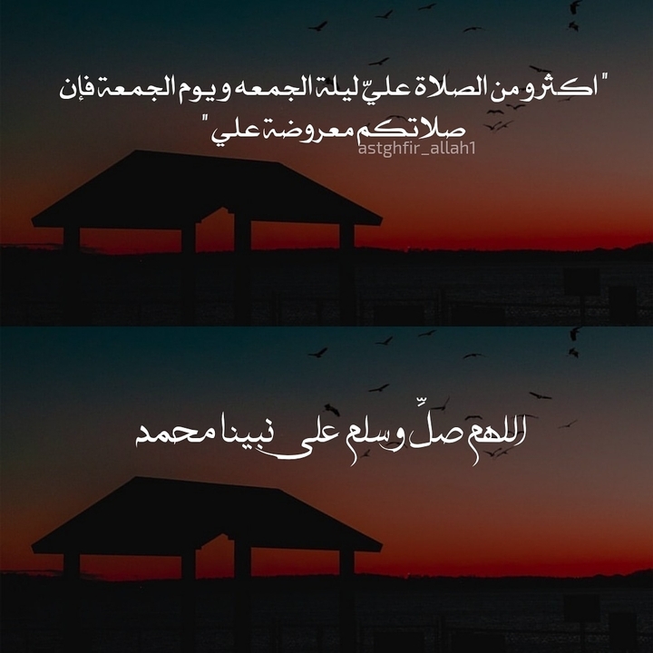 #رحيق_الورد