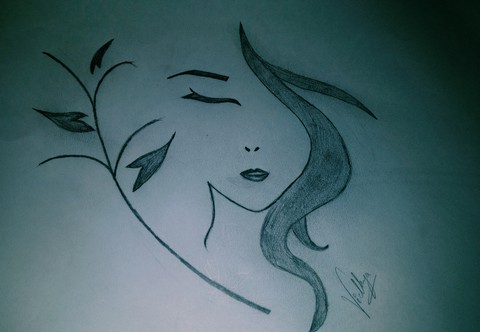 sketch