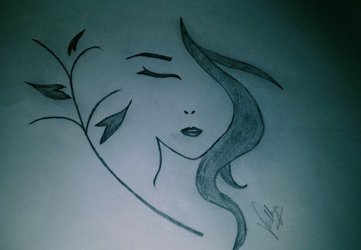 sketch