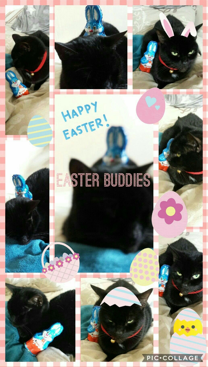 Easter Buddies