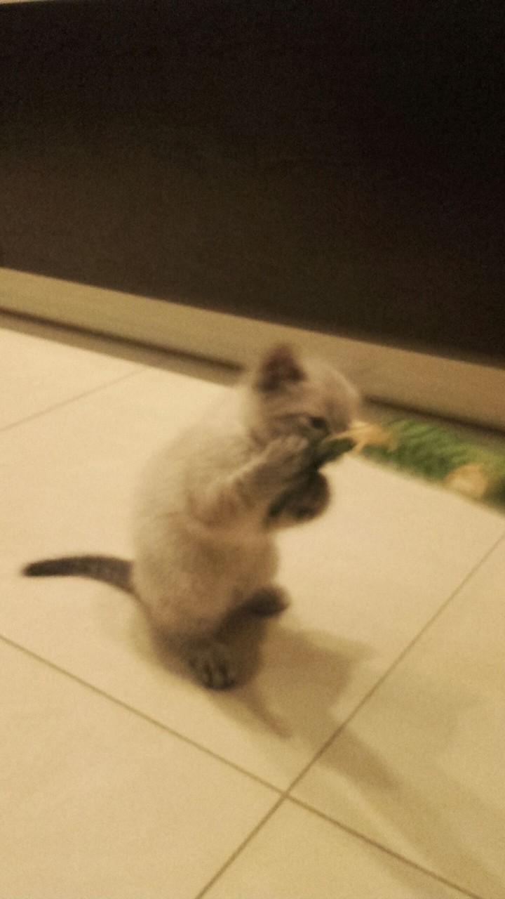 play with me