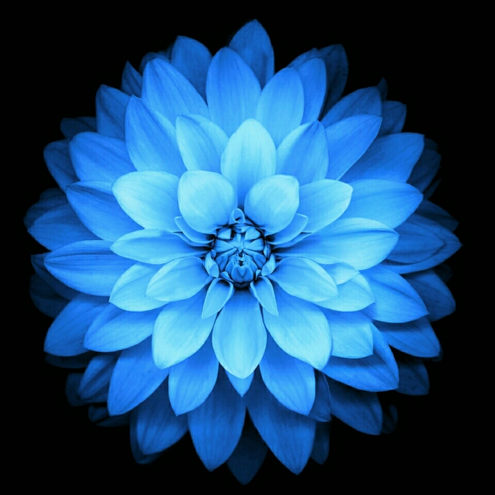 Blue