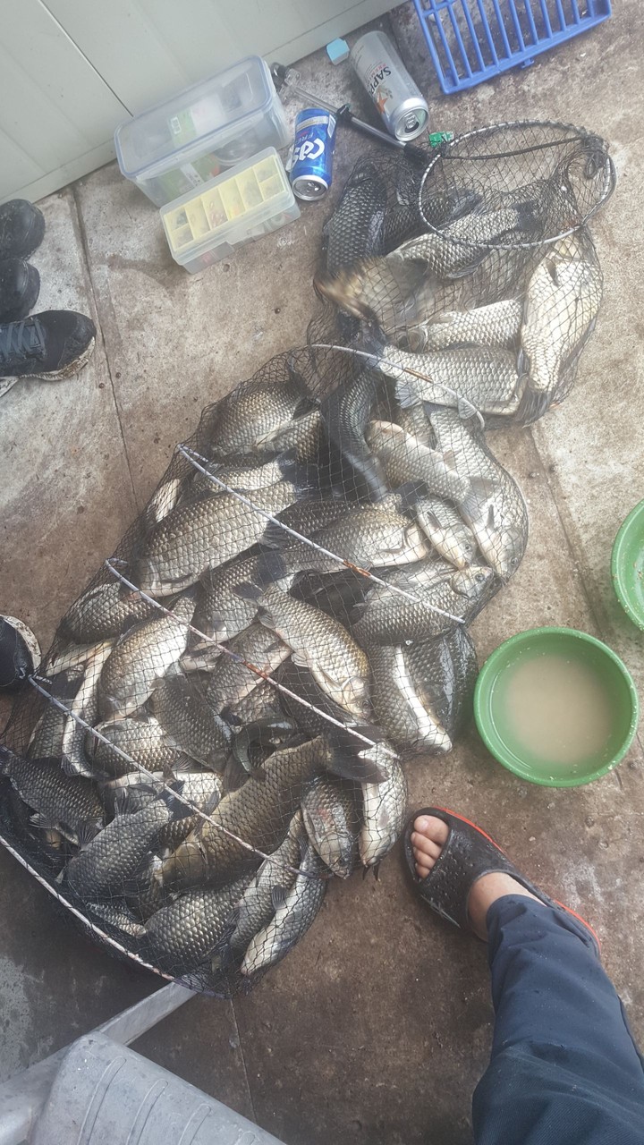 산우물 극세사 외바늘