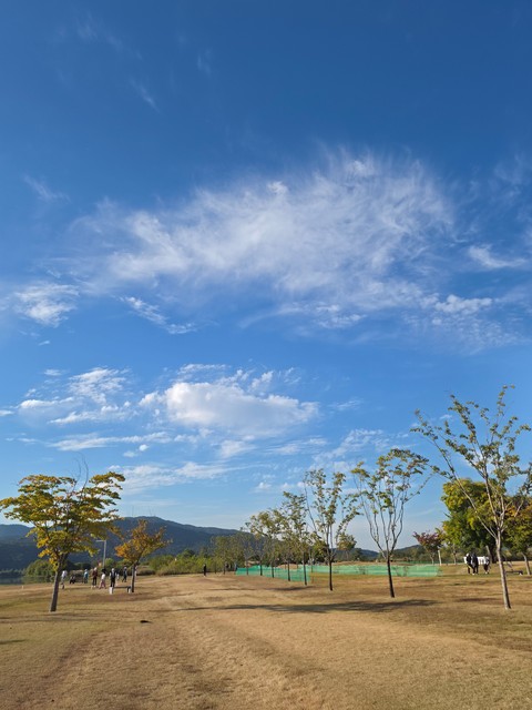 Plain, Grassland, Meadow