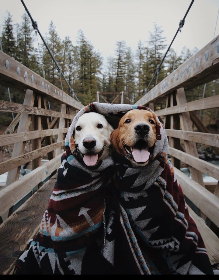 friends
