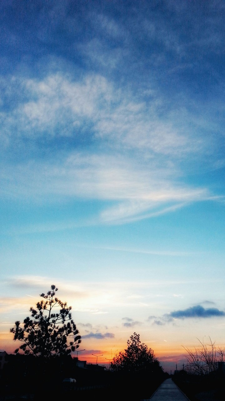 Sky