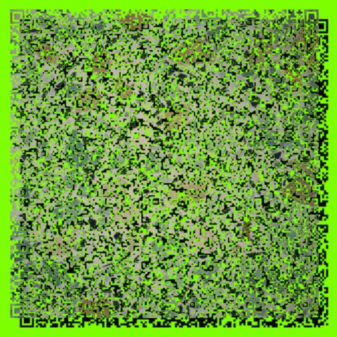 vegetation, groundcover duvar kağıtları