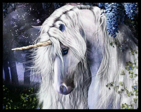sfondi annimation, horse