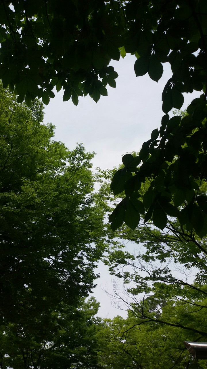 공원