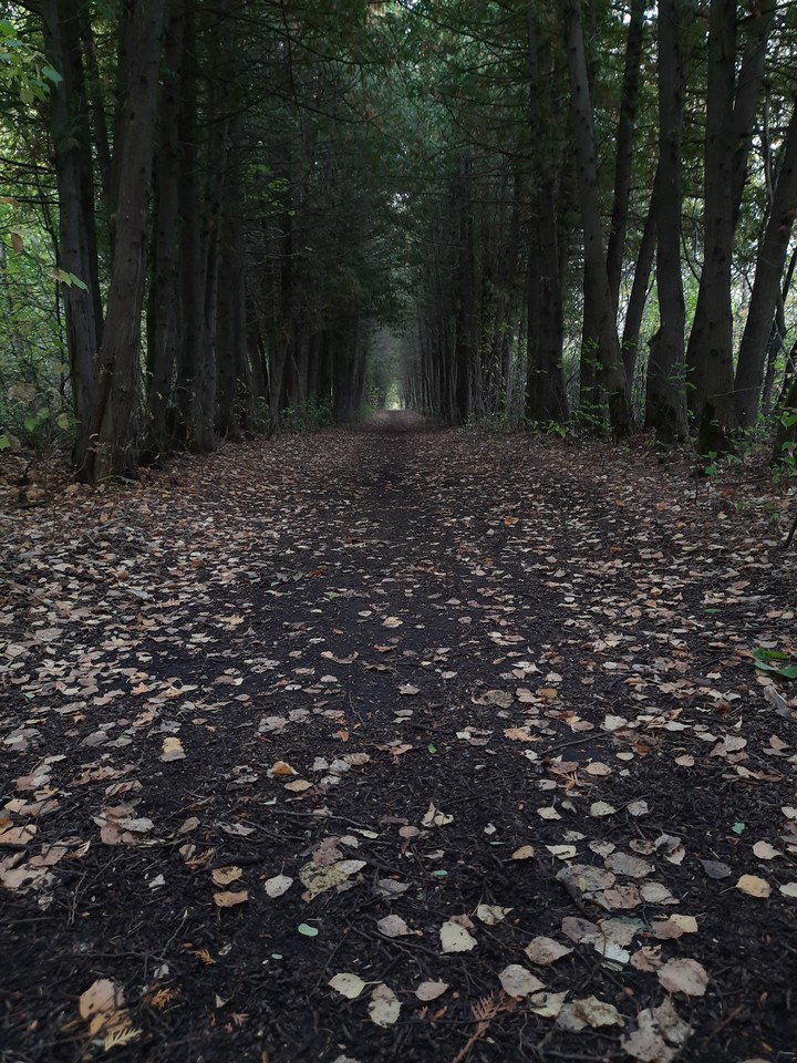 осень