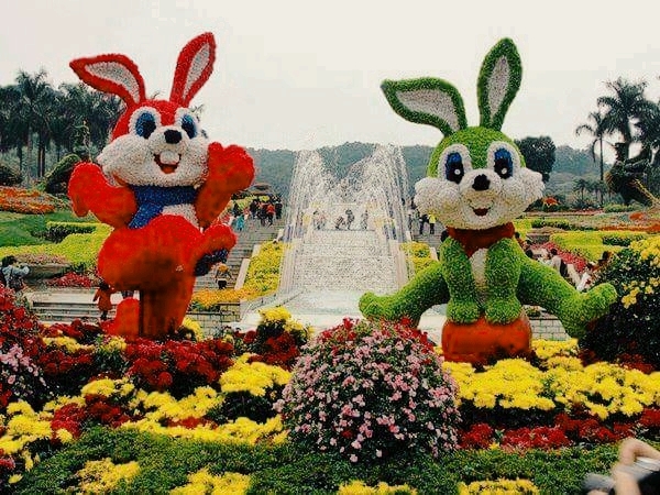 flowers