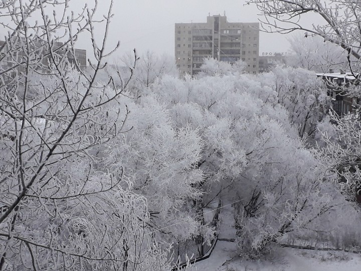 Winter