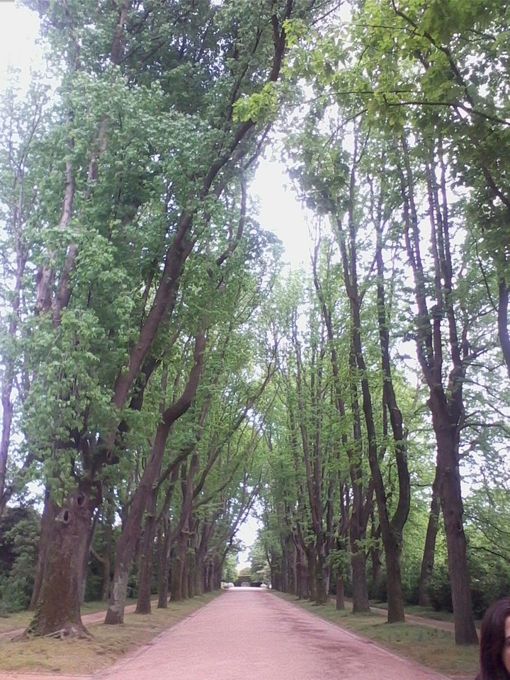 Portugal, Porto, Serralves