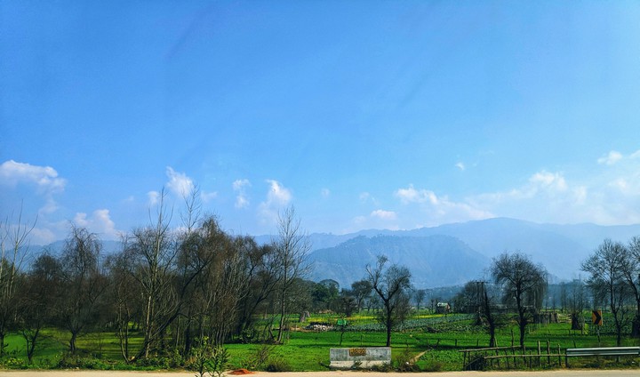 Nature