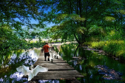 lovely!