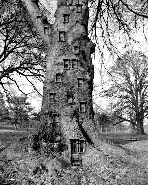 Keebler Elves Town House