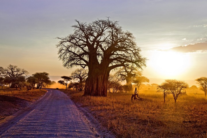 Tanzania