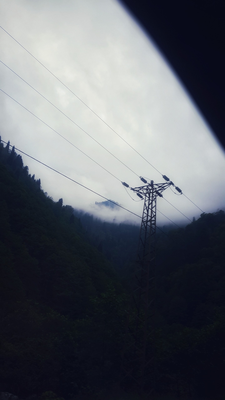 Fog
