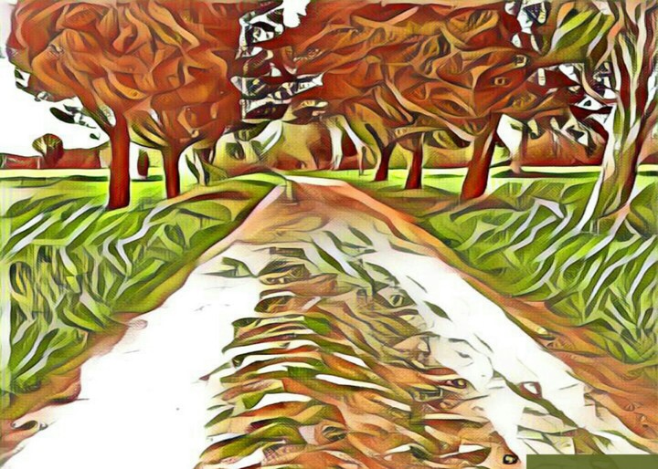 forest