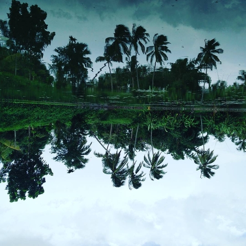 Upside down scenery